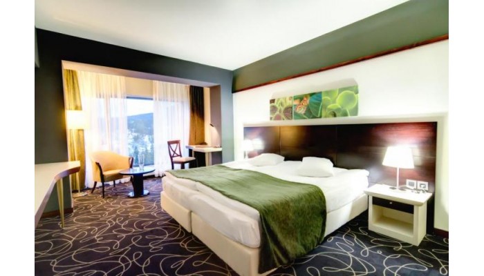 Hotel Orizont poza 12