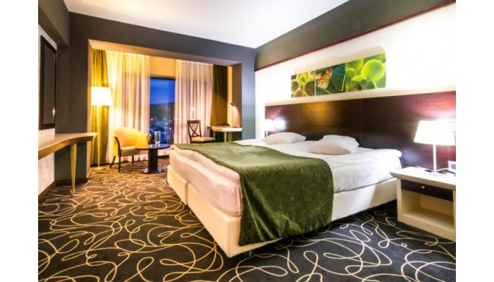 Hotel Orizont poza 1