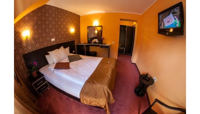 Pensiunea Carpatic poza 19