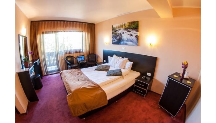 Pensiunea Carpatic poza 14