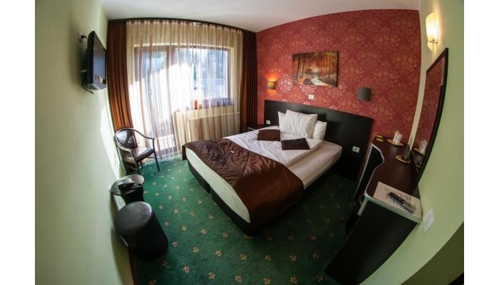 Pensiunea Carpatic poza 23