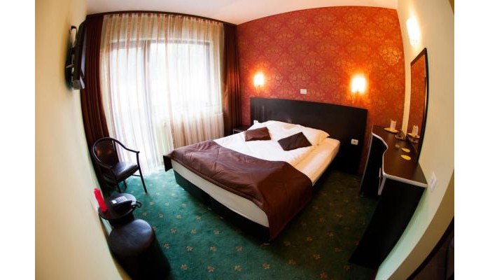 Pensiunea Carpatic poza 21