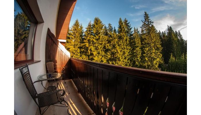 Pensiunea Carpatic poza 4