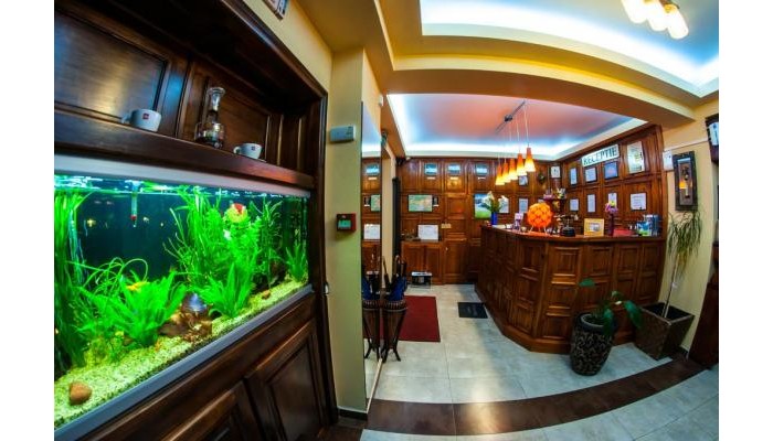 Pensiunea Carpatic poza 8