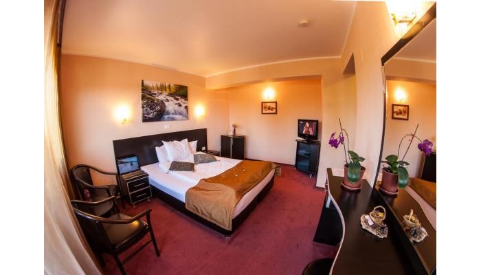 Pensiunea Carpatic poza 24