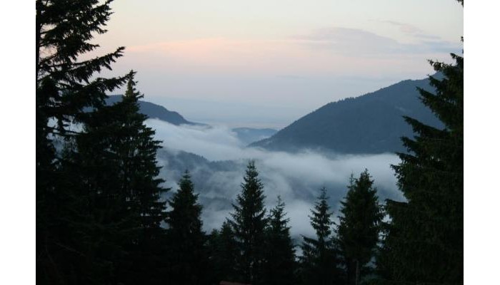 Pensiunea Carpatic poza 3