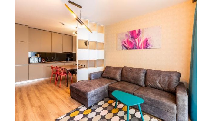 Bach Apartments Sibiu poza 30