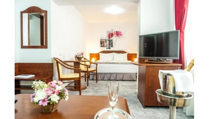 Hotel Parc Sibiu poza 7