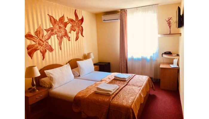 Pensiunea Ileana poza 3