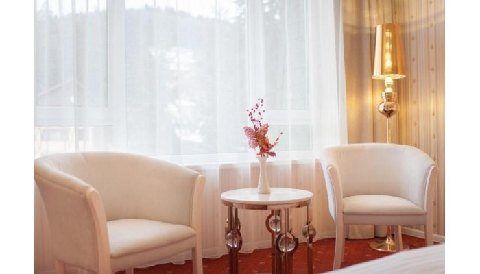 Hotel Carpathia poza 5
