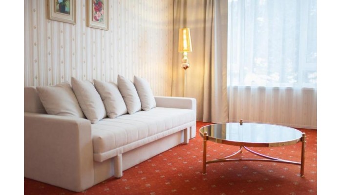 Hotel Carpathia poza 6