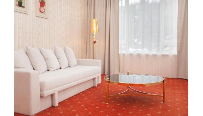 Hotel Carpathia poza 3