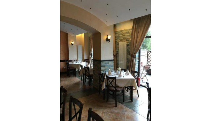 Hotel Casa Iris poza 11