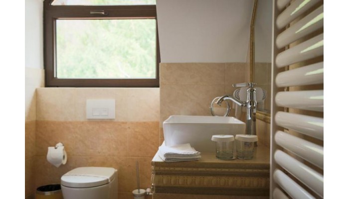 Hotel Foisorul Cu Flori poza 9