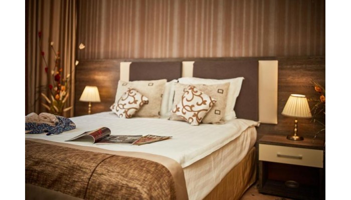 Hotel Rina Sinaia poza 7