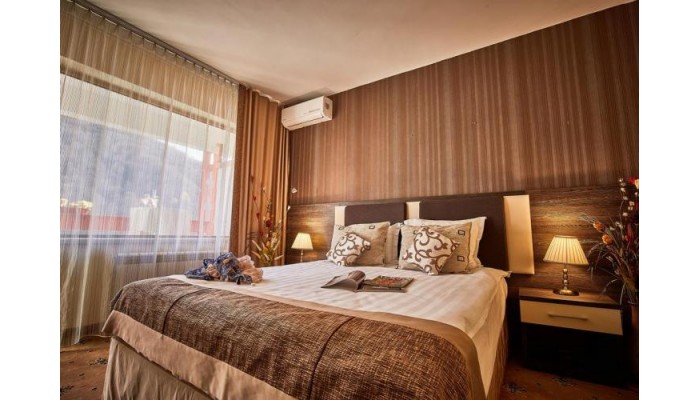 Hotel Rina Sinaia poza 4