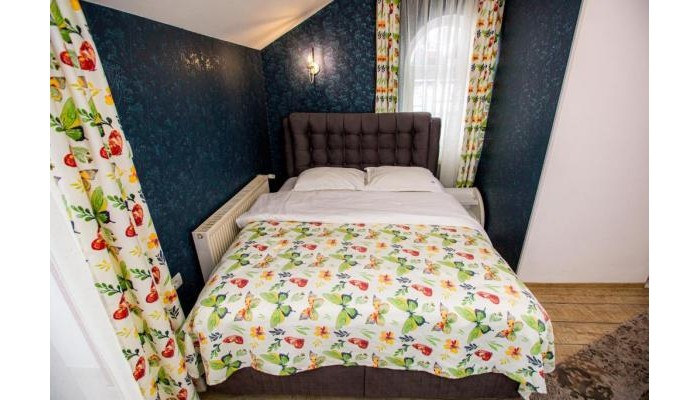 Pensiunea Nicolas poza 11