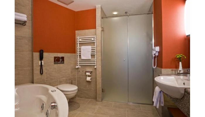 Hotel Bradet Ensana Health Spa poza 5