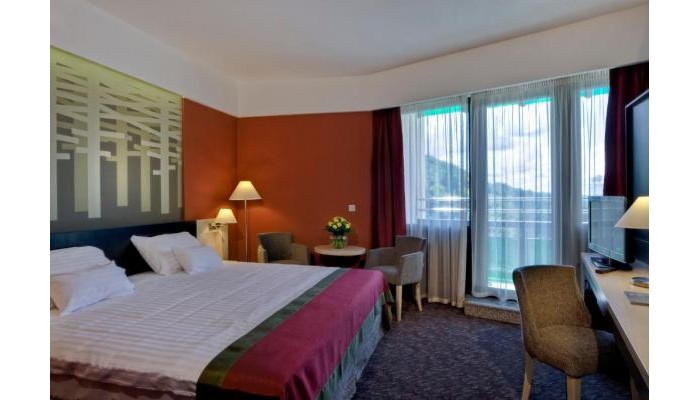 Hotel Bradet Ensana Health Spa poza 2