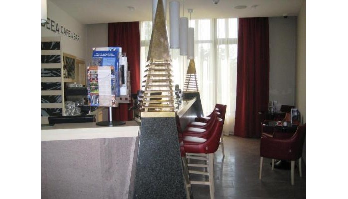 Hotel Bradet Ensana Health Spa poza 6