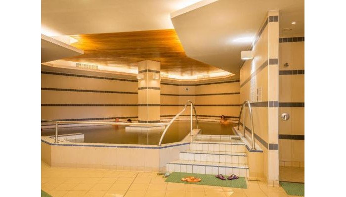 Hotel Bradet Ensana Health Spa poza 11