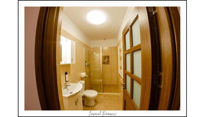 Hotel Conacul Domnesc poza 11