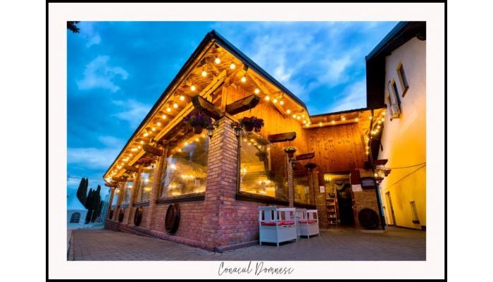 Hotel Conacul Domnesc poza 17