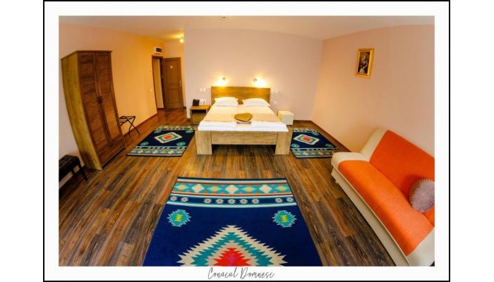 Hotel Conacul Domnesc poza 12