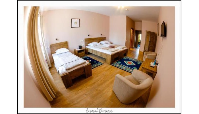 Hotel Conacul Domnesc poza 10