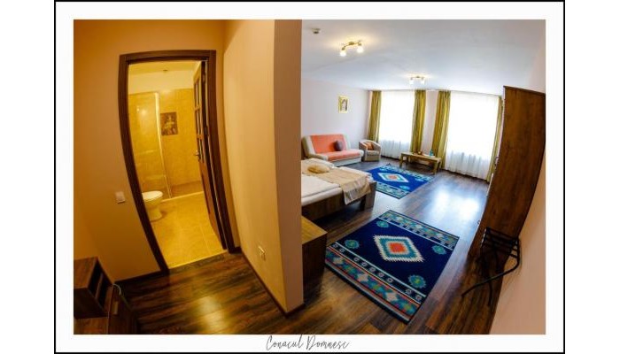Hotel Conacul Domnesc poza 14