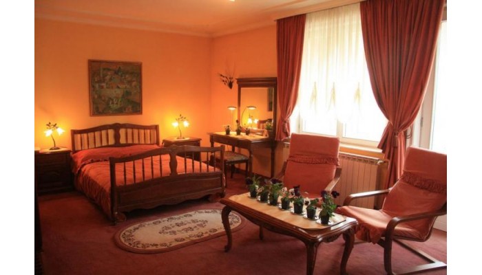 Hotel Curtea Bavareza poza 10