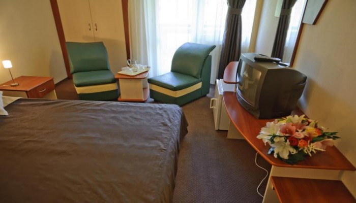 Hotel Bradul poza 4