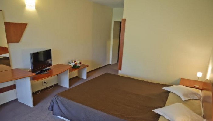 Hotel Bradul poza 1