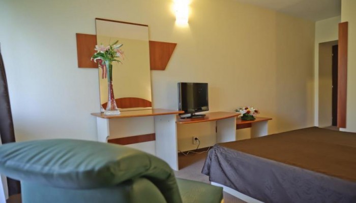 Hotel Bradul poza 3